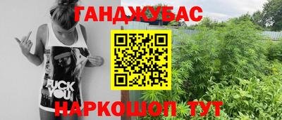 мдпв Гатчина