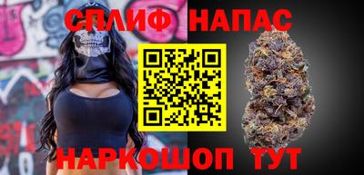 мдпв Гатчина