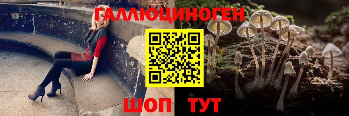 Псилоцибиновые грибы MAGIC MUSHROOMS Новоуральск